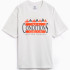 Футболка Nike ACG Tee Forest White FZ6702-121