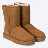 Уггі UGG Classic Short 2 1016223-CHE