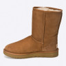 Уггі UGG Classic Short 2 1016223-CHE