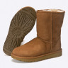 Уггі UGG Classic Short 2 1016223-CHE