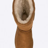 Уггі UGG Classic Short 2 1016223-CHE