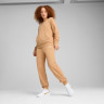Костюм спортивний Relaxed Sweat Suit TR cl 68507463 Puma L Бежевий 68507463