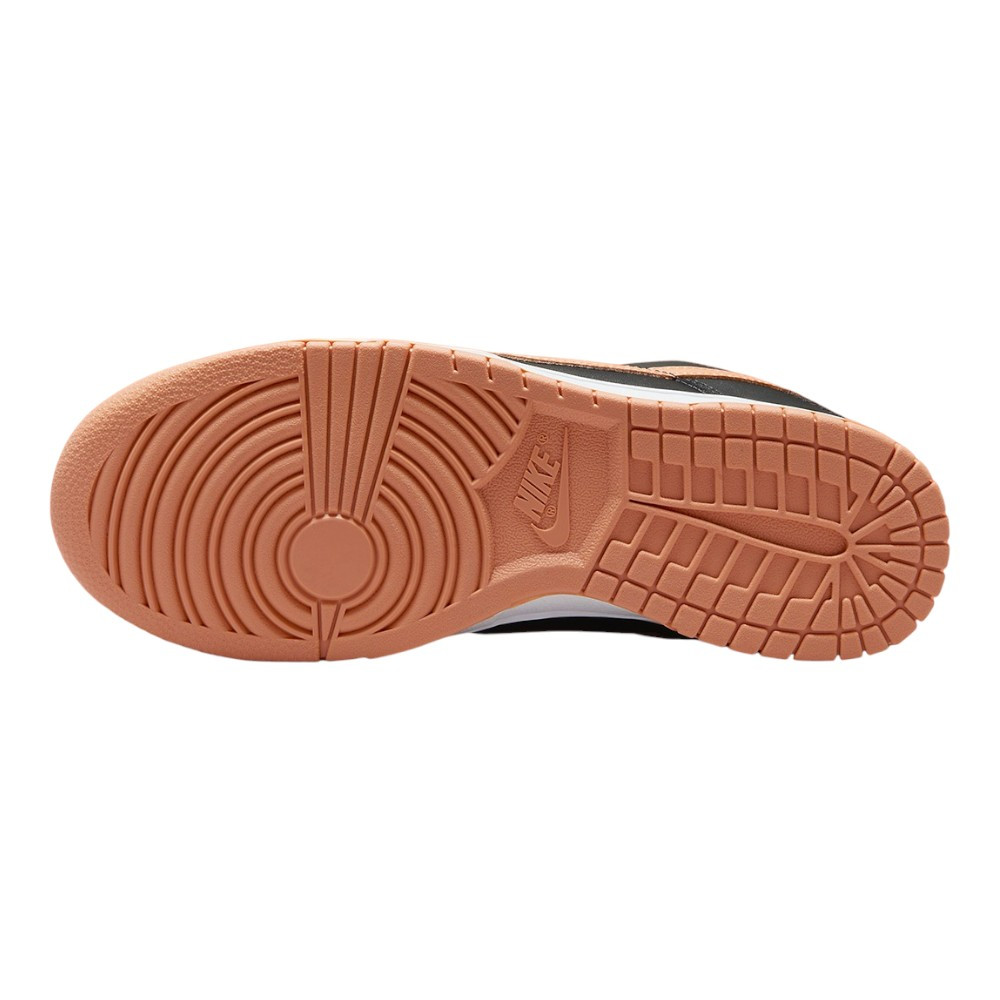 Кросівки Nike Dunk Low Retro DV0831-004