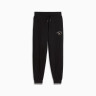 Штани PUMA CLASS Sweatpants 69187901 Puma XS Чорний 69187901