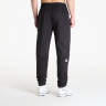 Штани M MOUNTAIN ATHLETICS USHBA PANTS 0A8G8FJK31 THE NORTH FACE M Чорний 0A8G8FJK31