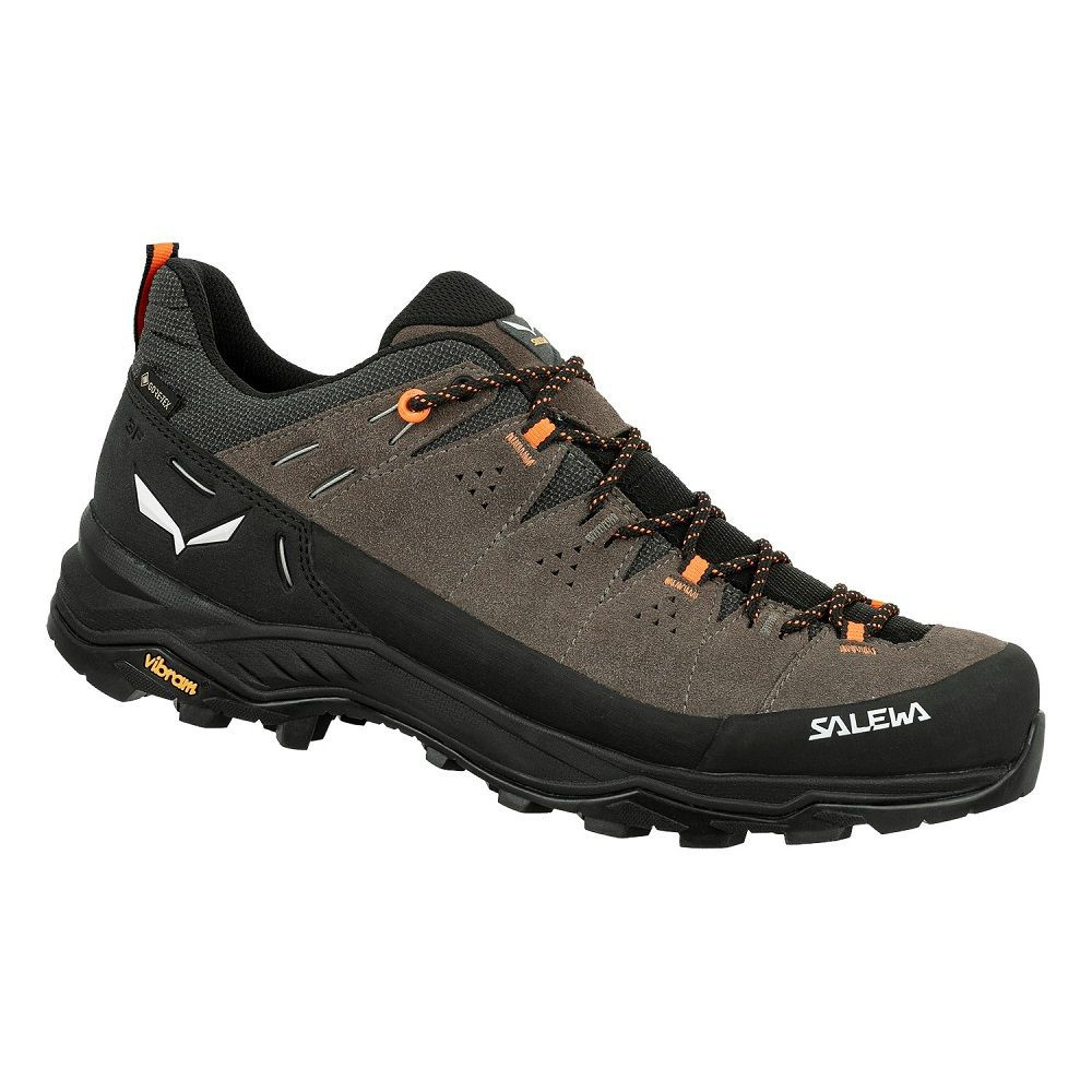 Кросівки Salewa Alp Trainer 2 GTX Mns 013.001.5977