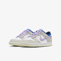Кросівки Dunk Low GS FB9109-103