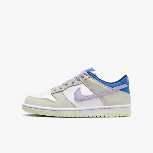 Кросівки Dunk Low GS FB9109-103