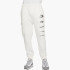 Штани Nike Sportswear Standard Issue FJ0550-133