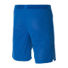Шорти Nike VAPOR KNIT II SHORT AQ2685-463