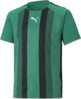 Футболка Puma Striped Jersey  704927-05