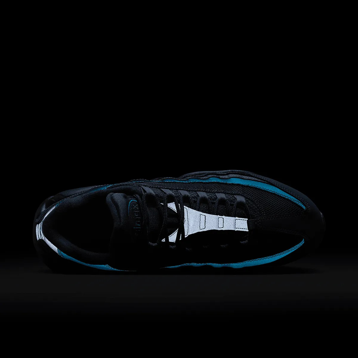 Кросівки Nike Air Max 95 HQ3825-001