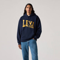 Худі Relaxed Graphic Hoodie 384790412