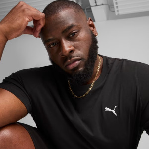 Футболка Puma ESS Small Logo Tee 68253801