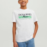 Футболка JORPALMA BRANDING TEE SS CREW NECK JNR 12235498-Bright White Jack&Jones 12235498-BRIGHT WHITE-PRI