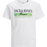 Футболка JORPALMA BRANDING TEE SS CREW NECK JNR 12235498-Bright White Jack&Jones 12235498-BRIGHT WHITE-PRI