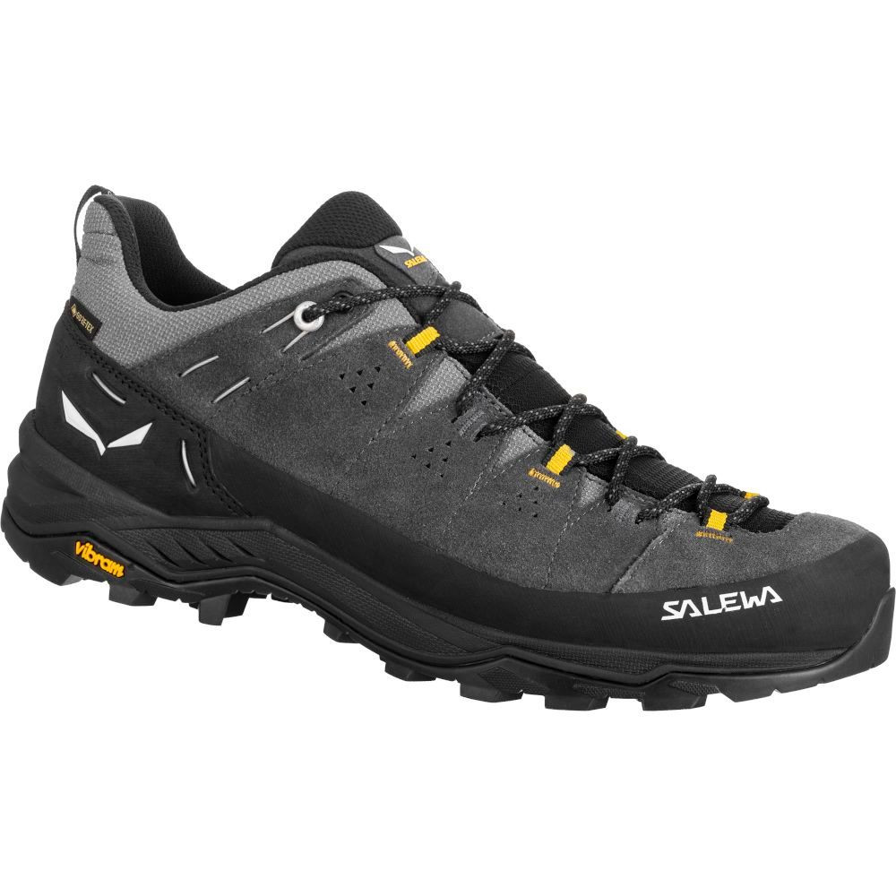 Кросівки Salewa Alp Trainer 2 GTX Mns 013.001.5978