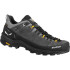 Кросівки Salewa Alp Trainer 2 GTX Mns 013.001.5978