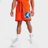 Шорти тренувальні JORDAN MVP MESH SHORT DV7602-817