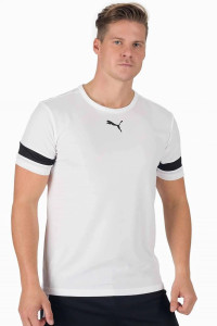 Футболка Puma teamRISE Jersey білий Чол L 704932-04