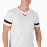 Футболка Puma teamRISE Jersey білий Чол L 704932-04