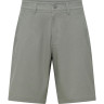 Шорти Salewa Fanes Hemp Light Shotrs Mns 013.012.1266