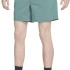 Шорти Nike ACG Trail Hiking Shorts Vintage Green FN2430-338