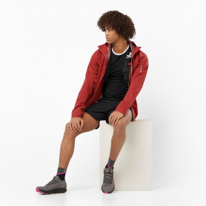 Кросівки SALOMON PULSAR TRAIL PRO 2 473853 473853