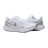Кросівки бігові Nike WMNS REVOLUTION 5 BQ3207-100