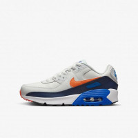 Кросівки NIKE AIR MAX 90 LTR (GS) CD6864-120