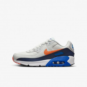 Кросівки NIKE AIR MAX 90 LTR (GS) CD6864-120